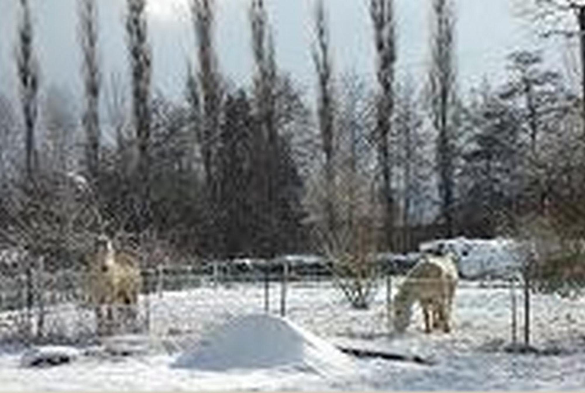Le Clos Pre La Voivre  Exterior foto
